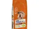 Purina Tonus Dog Chow Mature Adult Cane Crocchette con Pollo, 14 kg