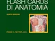 Netter Flash cards di anatomia