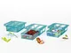 GOURMETmaxx Cassetto a morsetti per frigorifero, set da 3 | 20,5 x 15 x 7cm, facile da app...