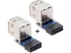 2 adattatori per scheda madre 9 pin/10 pin femmina a doppio USB 2.0 femmina, tipo vertical...