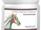 Equicure Pure Vitex Agnocasto 10 x concentrato – per cavallo/pony inclini a equine Cushing...