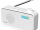 Radio DAB/DAB+ e FM Portatile Ricaricabile, Radiolina Portatile Digitale Piccola Alimentat...