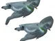 Riverside 2 x Air Pro Floccato Spinning Wing Pigeon Decoys Rotary Magnet Bouncer Shooting