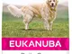 Eukanuba Daily Care Alimento Secco per Cani Adulti in Sovrappeso e Sterilizzati, 12 kg