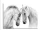 Knncch Stampa di grandi dimensioni Pittura a olio Coppia di bellissimi cavalli bianchi sta...