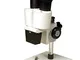 Microscopio Stereoscopico Levenhuk 2ST (40x) – Osservazioni 3D di Gioielli, Minerali, Mone...