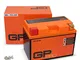 GP-Pro, batteria GEL da 12 V e 11 Ah (tipo: GTZ12S)