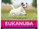 Eukanuba Cibo Secco per Cani Adulti Attivi di Taglia Piccola, Ricco di Pollo Fresco, 3 kg