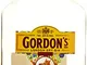 Gordon's London Gin Secco - 0.35 l