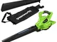 Greenworks GD40BV Aspiratore Soffiatore a Batteria per Foglie, con Motore Brushless, 280km...