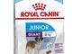 Royal Canin Giant Junior 31 - Confezione risparmio da 2 x 15 kg
