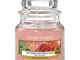 Yankee Candle Candela profumata in giara piccola | Rosa di albicocca | Durata Fino a 30 Or...