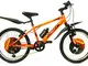 Reset Bicicletta per Ragazzo 20" 6V Rok Arancione