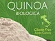 Quinoa Italia Farina di Quinoa Biologica - 1 Sacchetto