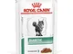 ROYAL CANIN Alimento Gatto Diabetic - 1200 gr