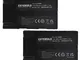 EXTENSILO 2x batteria sostituisce Samsung SB-LSM160, SB-LSM320, SB-LSM80 per videocamera c...