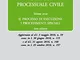 Diritto processuale civile. Il processo di esecuzione. I procedimenti speciali (Vol. 3)