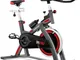 FITFIU Fitness BESP-300 - Bicicleta indoor con disco ad inerzia 24kg, Indoor Bike con sell...