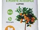 Cifo Lupini per Agrumi e piante Acidofile 2,5 kg