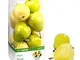 FloraCraft - Frutta Decorativa Design It Simple, 9 pere Gialle e Verdi per Confezione