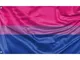 Bandiera dell'orgoglio bisessuale | Stampa dal design unico | Made in EU (90 x 150 cm)