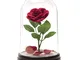 Disney Paladone Beauty and the Beast - Enchanted Rose Light (PP4344DPV2)