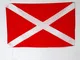 AZ FLAG Bandiera COMMISSARIO di Pista con Croce di SANT'ANDREA Bianca 90x60cm - Bandiera C...