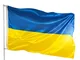 PHENO FLAGS Bandiera premium Ucraina 100% riciclata 90x150 cm - Bandiera estremamente resi...