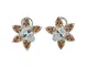 Orecchini in Argento 925 con Ealite, Linea Winter Flower Annaratone Jewelry, Orecchini Lin...