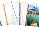 Favorit, Buste a Foratura Universale, 10 Pezzi, 21 x 29.7 cm, Trasparente con banda Colora...