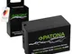 PATONA Premium Batteria NP-T125 1300mAh Compatibile con Fuji Fujifilm GFX-50S II GFX-50R G...