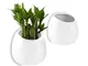 ComSaf Vaso per Pianta a Muro Bianco 10CM Ceramica Set di 2, Vaso da Fiori Cono per Vaso d...