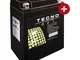 Tecno YB14L-A2 - Batteria gel GPZ 500 S 1987-2003