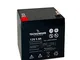 Tecnoware Batteria Ermetica al Piombo 12 V Capacità 5 Ah, per UPS, Sistemi di Videosorvegl...