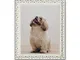 Tailored Frames Cornice da - Vienna Range, finemente vintage shabby chic foto e cornici in...