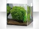 Acquario Askoll Pure S PureWhite (13 lt.)