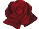 Magia Nera®, rosaio vivo Rose Barni®, rosa in vaso colore nero e rosso, linea prestigio, f...