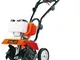 Motozappa 2 tempi Polar 52cc – potenza 2,0hp – larghezza di lavoro 300mm – profondità di l...