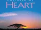 Africa Captured My Heart: A Young Girl's Story (English Edition)