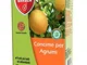 Bayer - Baycote Concime Agrumi