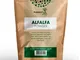 Natures Root Polvere di Pura Erba Medica (Alfalfa) 500g - Ricca di Sostanze Nutritive | Gr...