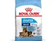 Royal Canin - Royal Canin Maxi Starter - 15 Kg