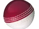 Gunn & Moore Skills, Palla da Cricket, Rosso/Bianco, junior