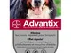 advantix Bayer Molto Soluzione per Grande Cane 4 Pipette