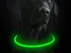 Toozey LED Collare Luminoso per Cani per la notte, USB Ricaricabile / Misura Tagliabile Co...