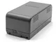 vhbw Batteria NiMH 4200mAh (6V) per Fotocamera Videocamera come Panasonic VW-VBS2E
