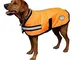 Weatherbeeta Cappotto per Cani Parka 300D Riflettente Arancione