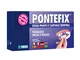 Pontefix Cemento Dentale Fissa Ponti, Capsule Dentali e Denti a Perno