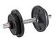 Manubri Allenamento con manubri Manubri Vernice Assemblati Dumbbell Home Fitness attrezzat...