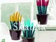 HONIC 200pcs colorato Sansevieria trifasciata Prain raro Fiore Tiger grasse Bonsai Piante...